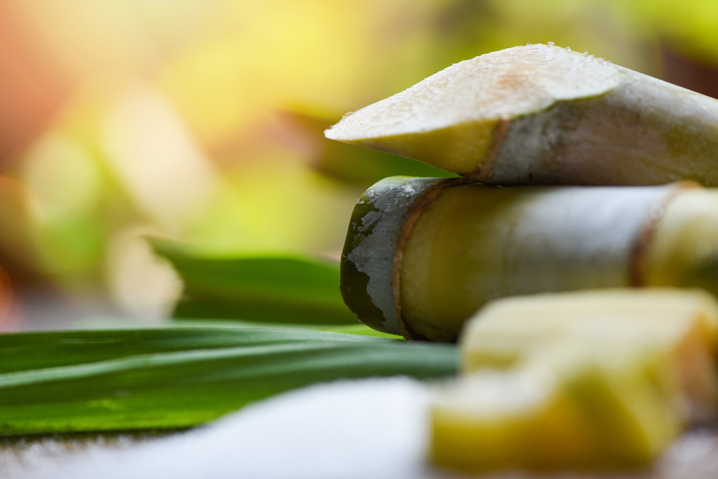 Non-GMO 100% Pure Cane Sugar