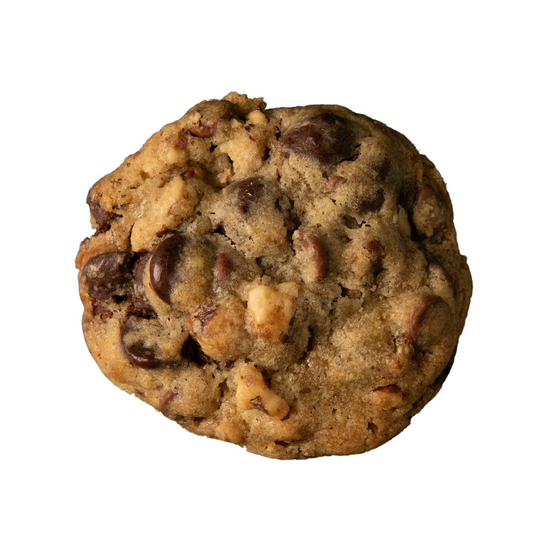 Box of 75 Double Chocolate Chip with Walnut (DCCW) - Wholesale